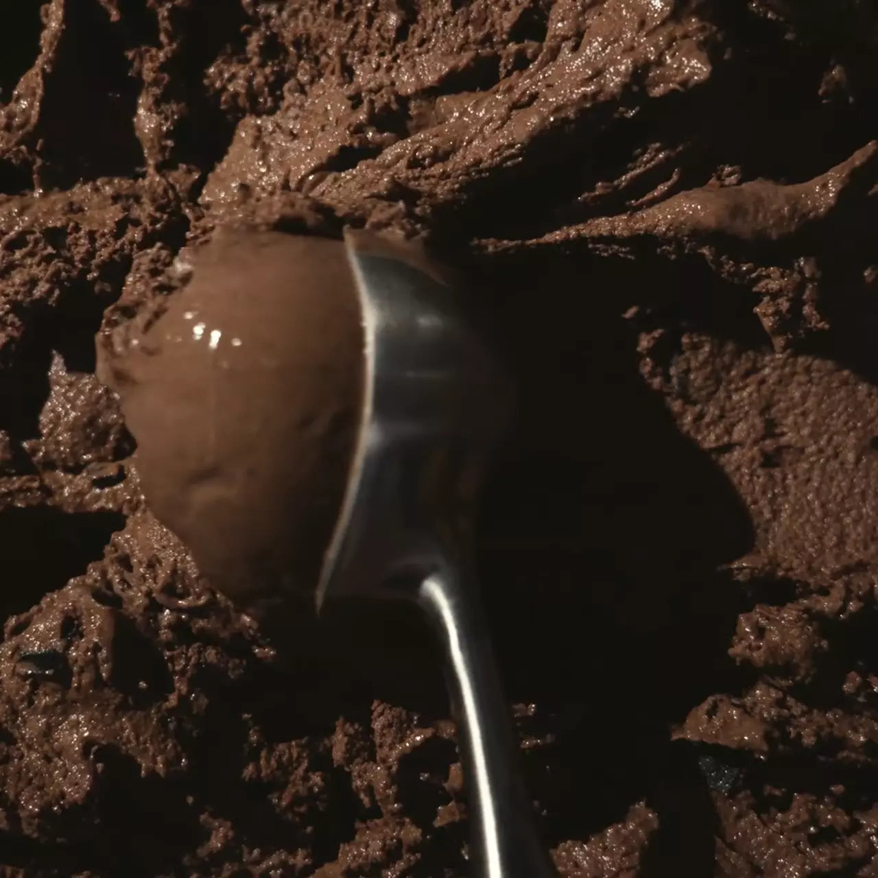 Triple Chocolate - Essential Box Favorite — Distinctive Daily Bundle Choice
